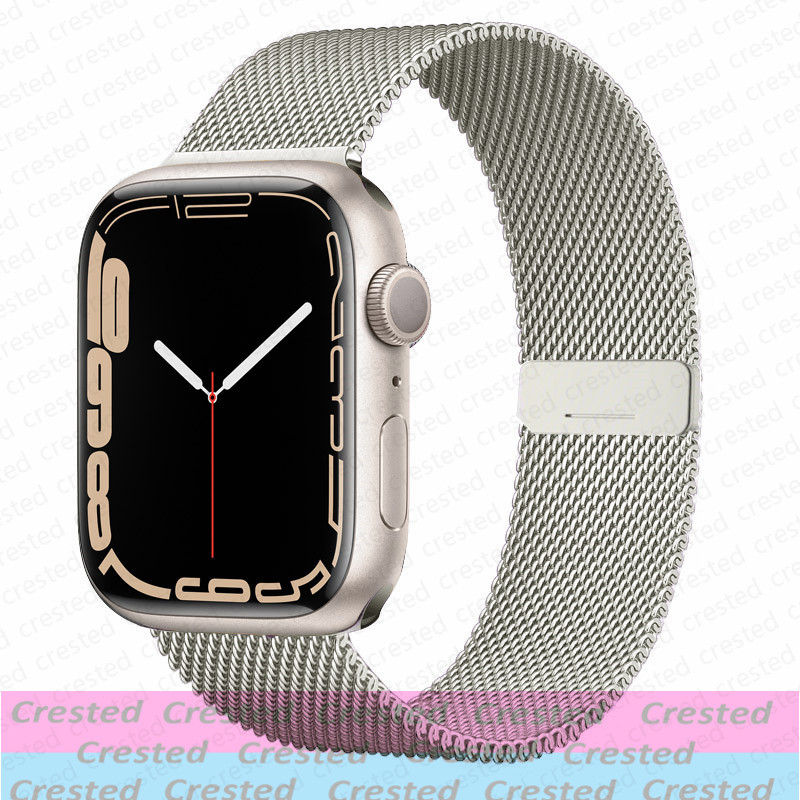 Correa de bucle magnético para - Milanese Loop Magnetic reseña y precio